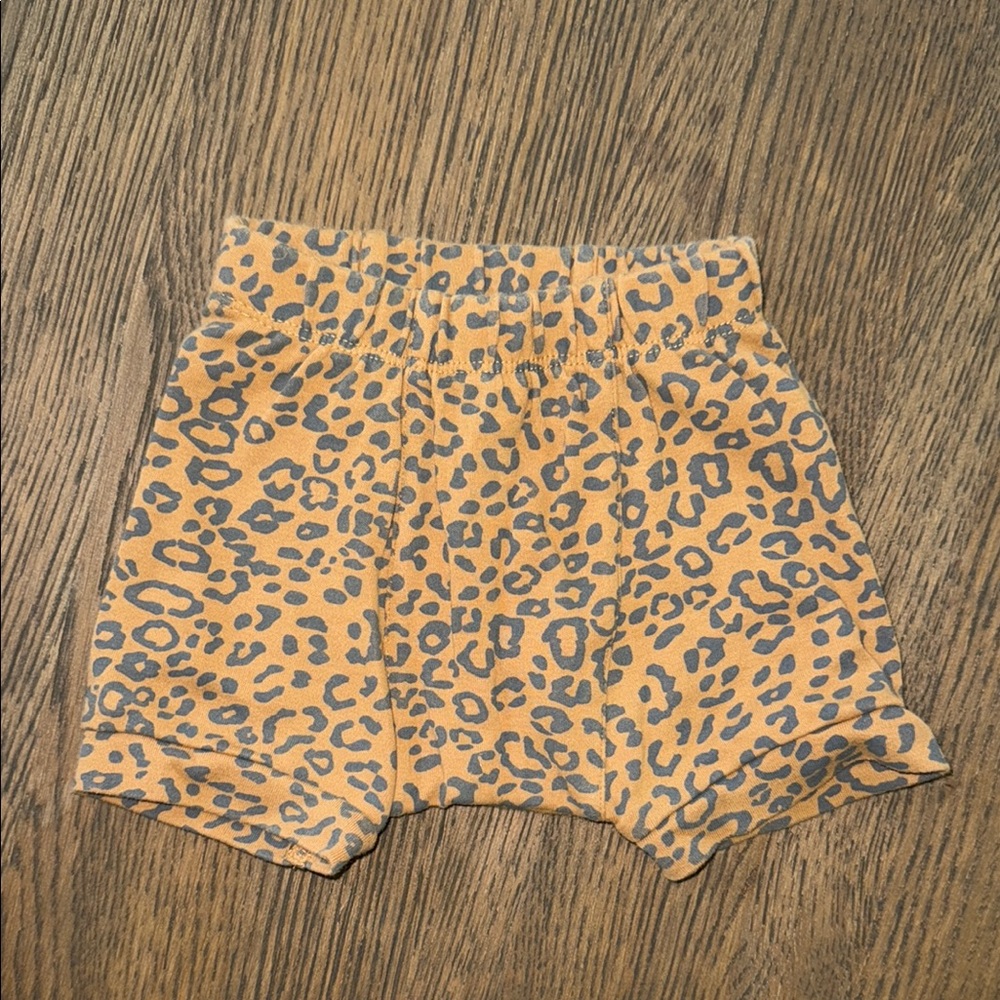 Kate Quinn Leopard Print Shorts
